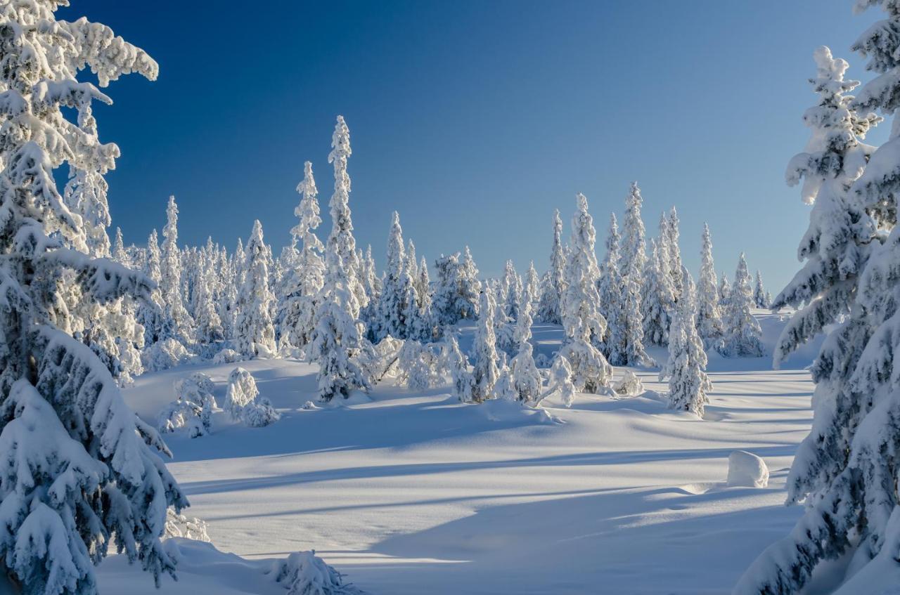 Blefjell Lodge Lampeland エクステリア 写真