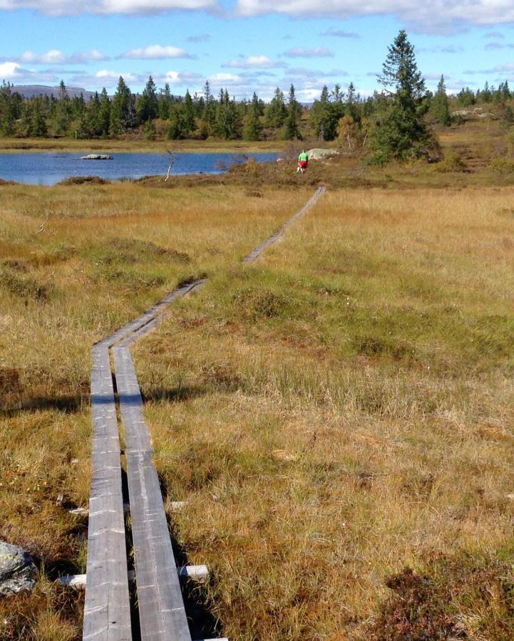 Blefjell Lodge Lampeland エクステリア 写真